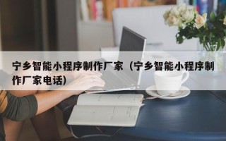 衡阳宁乡智能小程序制作厂家（宁乡智能小程序制作厂家电话）