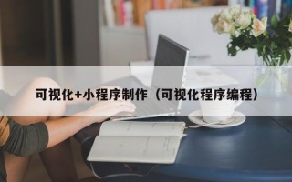衡阳可视化+小程序制作（可视化程序编程）